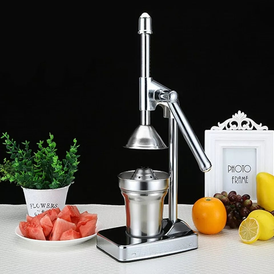 Norvo | Rustfritt Stål Fruktjuicer