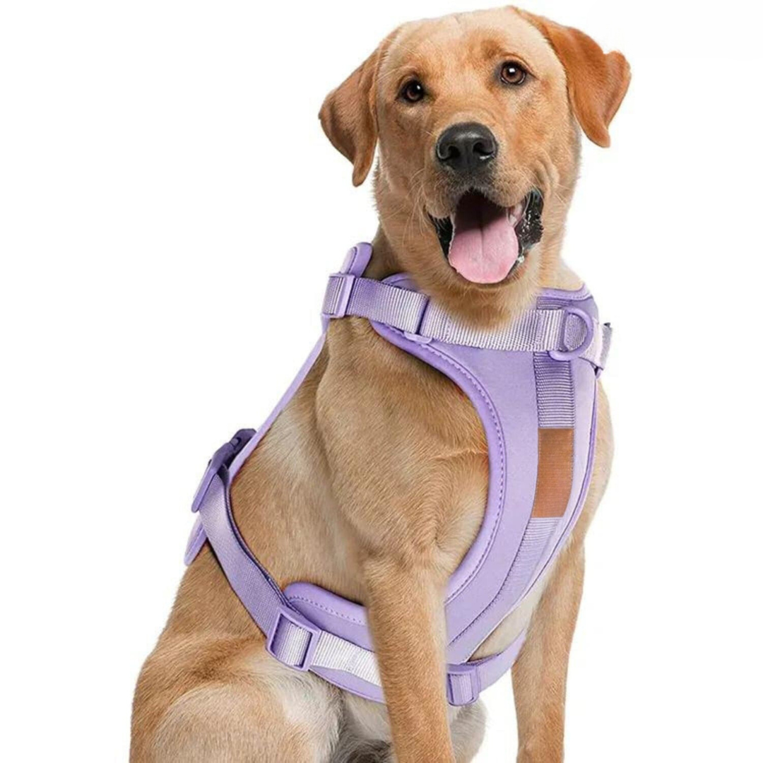Norvo | ComfyPaws Hundesele Gåsett med Bånd og Bæsjeposeholder