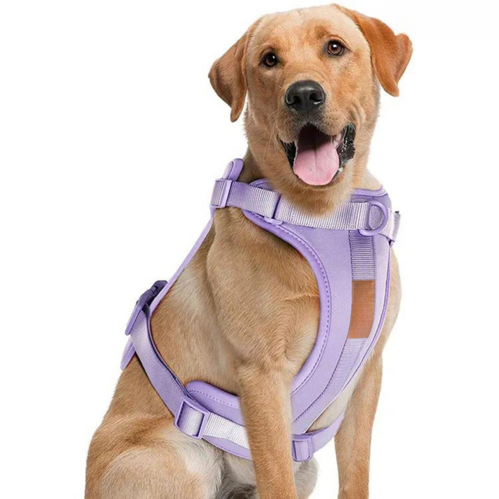 Norvo | ComfyPaws Hundesele Gåsett med Bånd og Bæsjeposeholder
