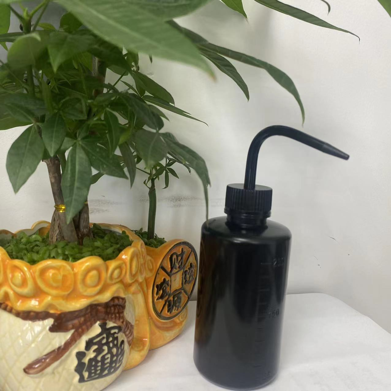 Norvo | Spot 500ml Klemflaske – Kompakt Sprayflaske for Nøyaktig Hell og Dosering