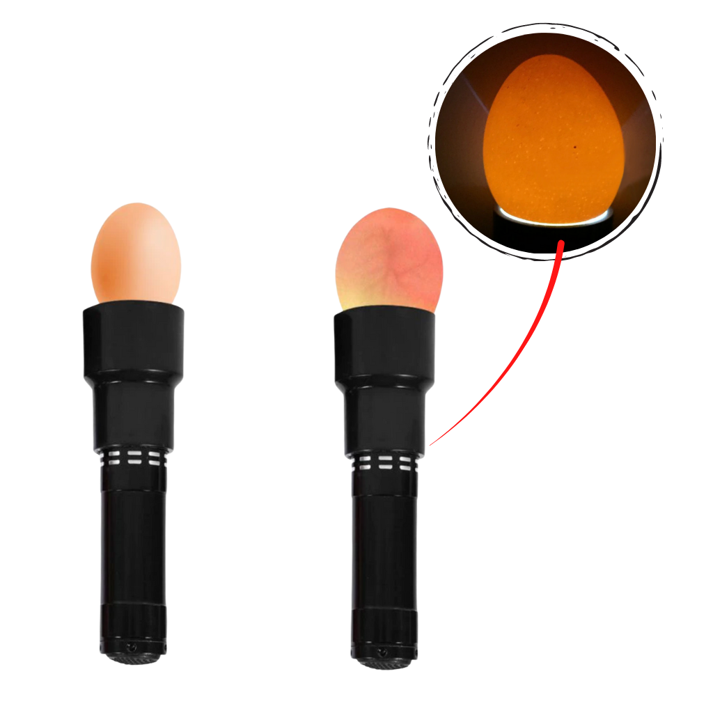 Eggelykt