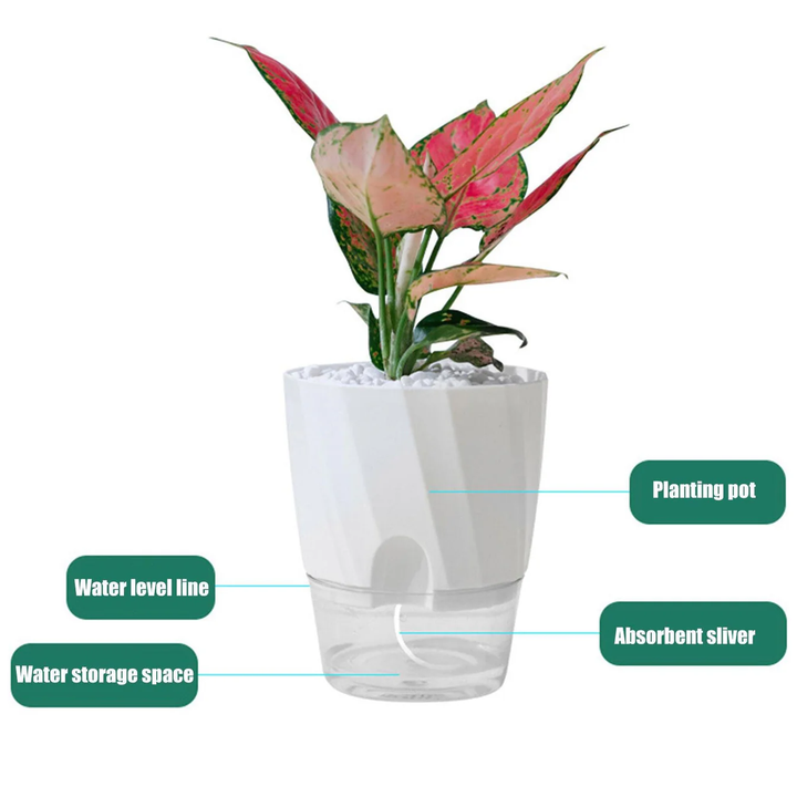 Norvo | Selv vanning planter