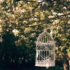 Norvo | BlumenLift Høyde Regulator