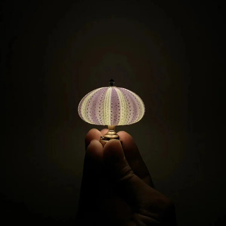 Norvo | LumiCraft – Unik DIY bordlampe med naturlig sjøskjell for en koselig dekor