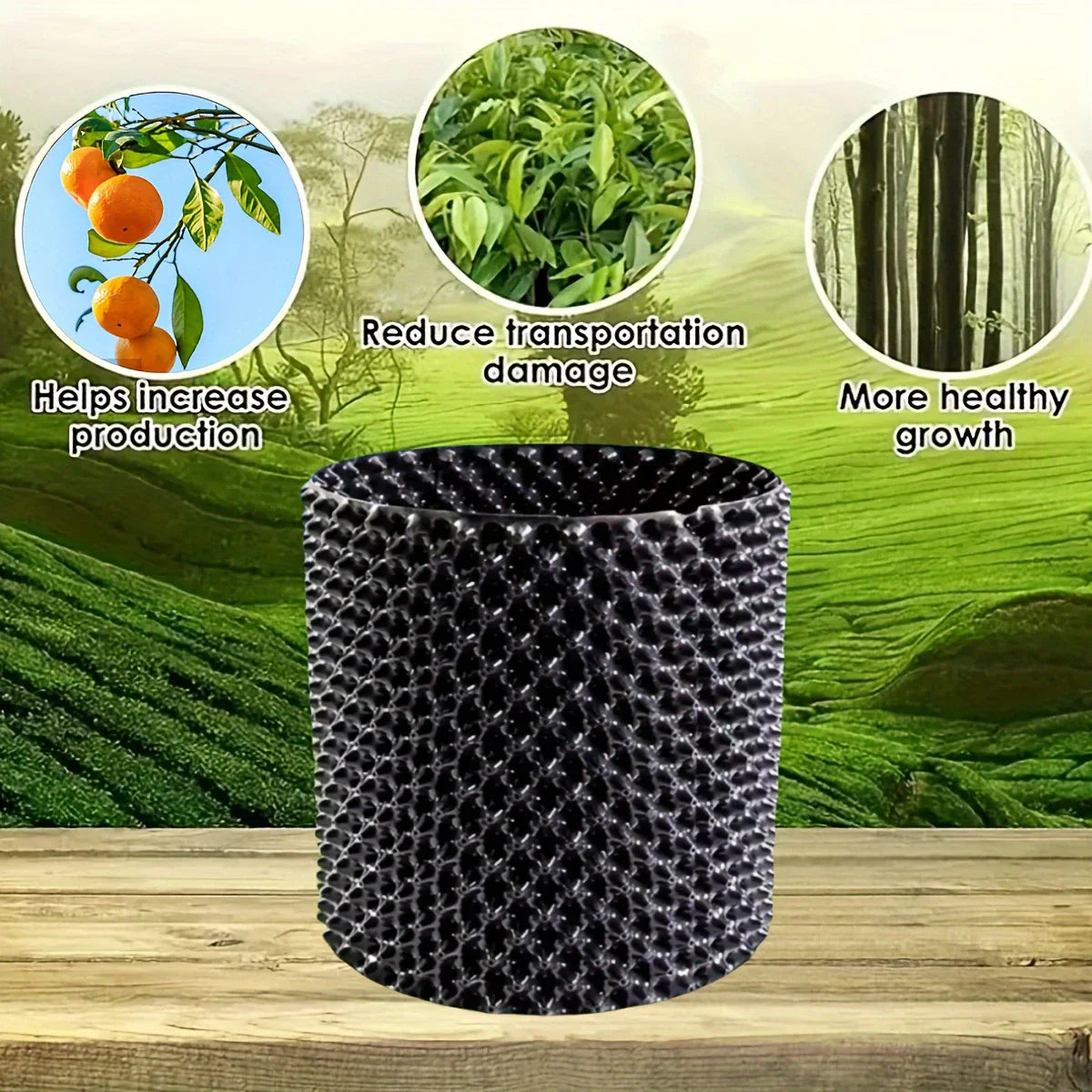 Norvo | Rotskontrollenhet for planter og landskap for å fremme sunn vekst