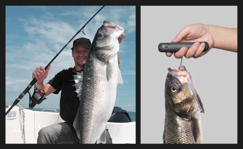 Norvo | Mini Bærbar Høypresisjons Håndholdt Elektronisk Vekt