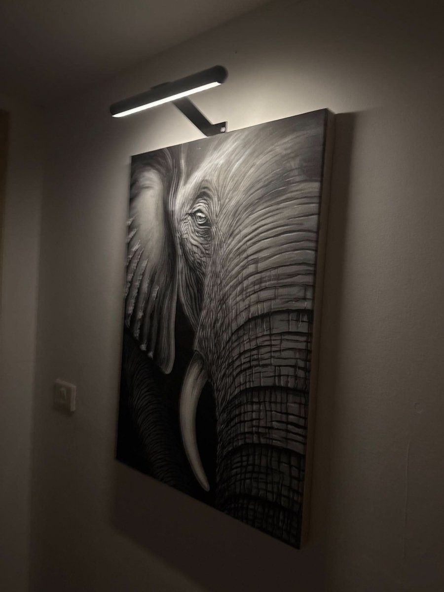 Norvo | Trådløs og stilfull for enhver galleri vegg