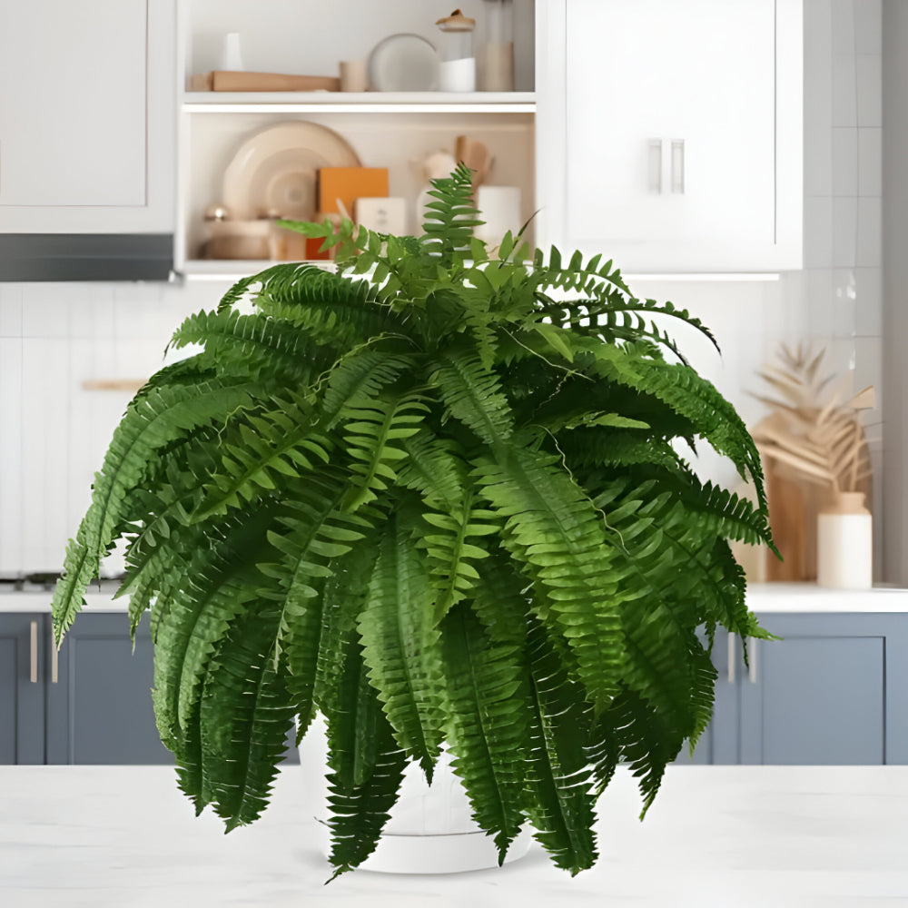 Norvo | Kunstig Boston Fern Hjem Deko Plante