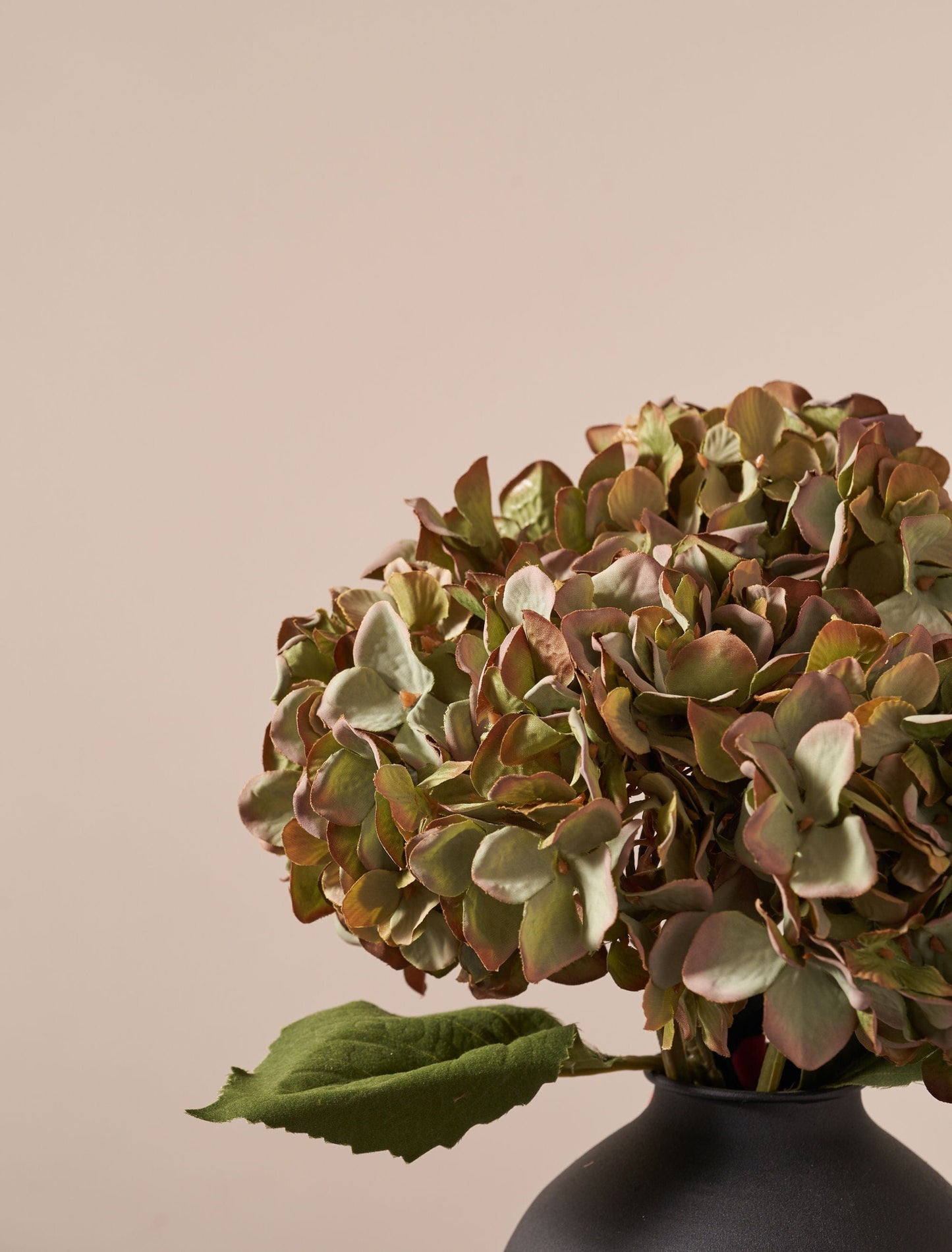 Norvo | Hortensia Bukett - Grønn (4 stilker)