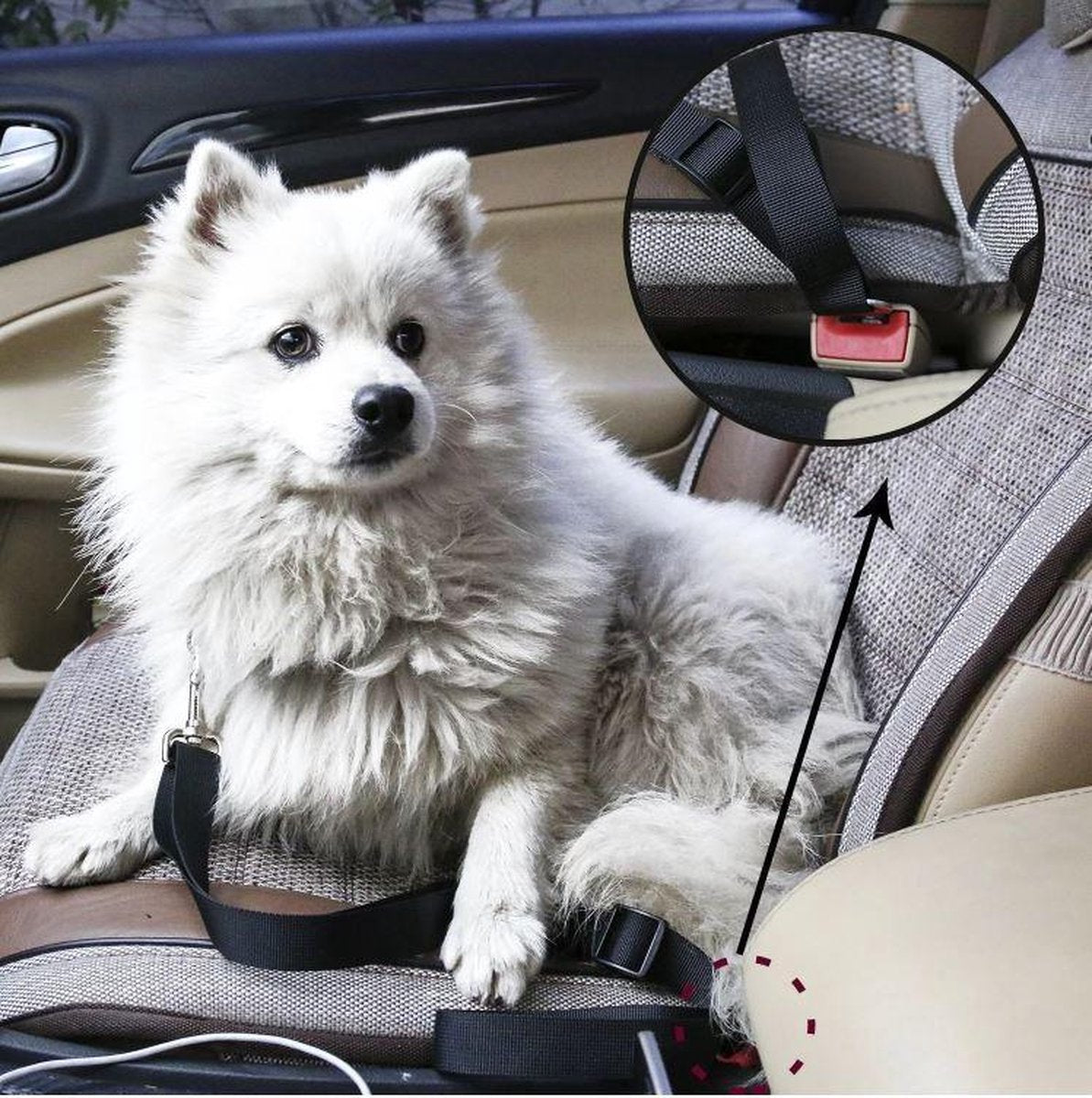 Sikkerhetsbelte for kjæledyr Norvo