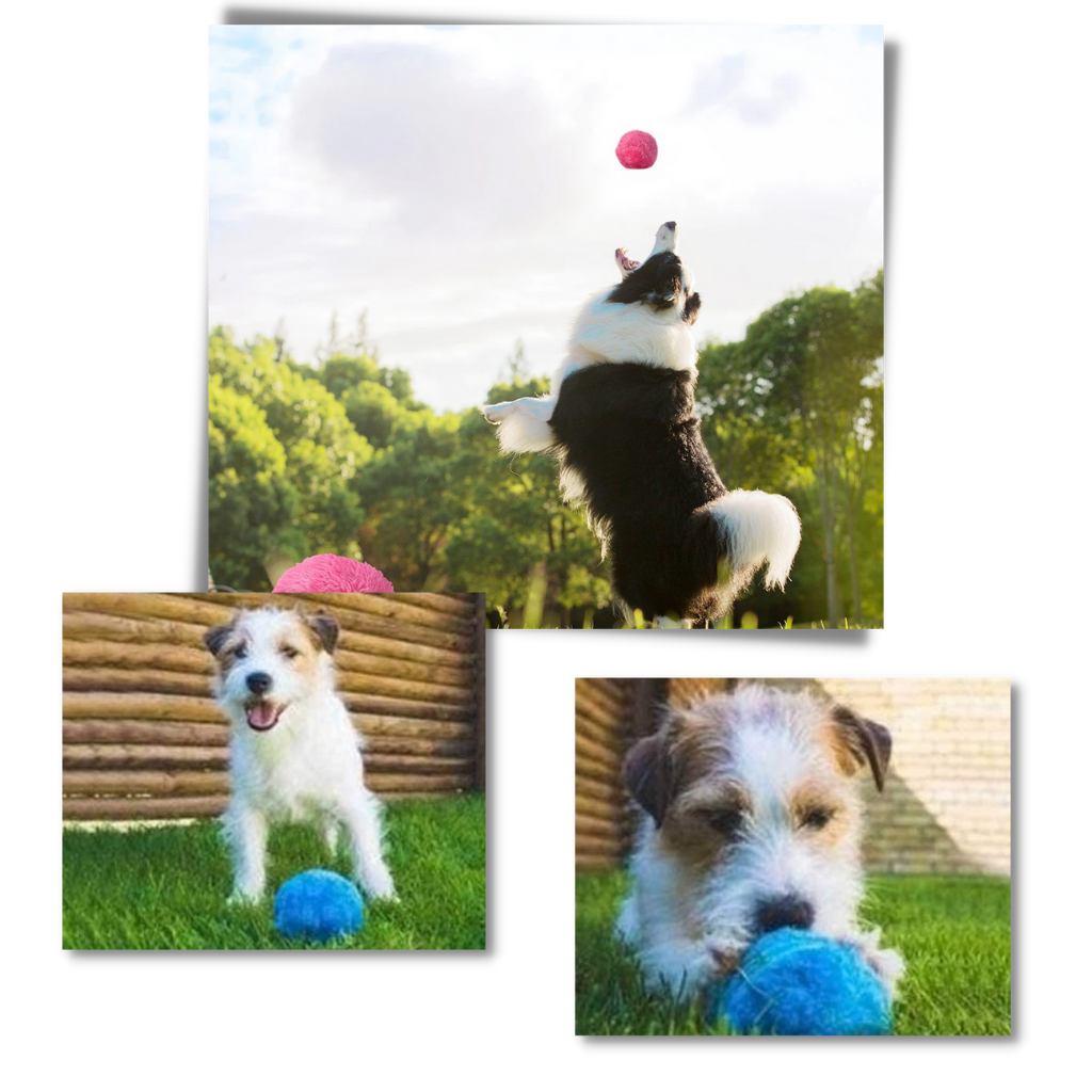 Automatisk rullende ball til hund, med utskiftbare trekk