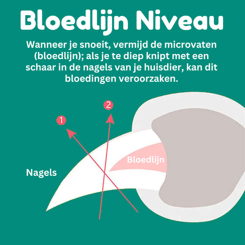 Norvo | MAX - Beste negleklipper for hunder med hurtigsensorer