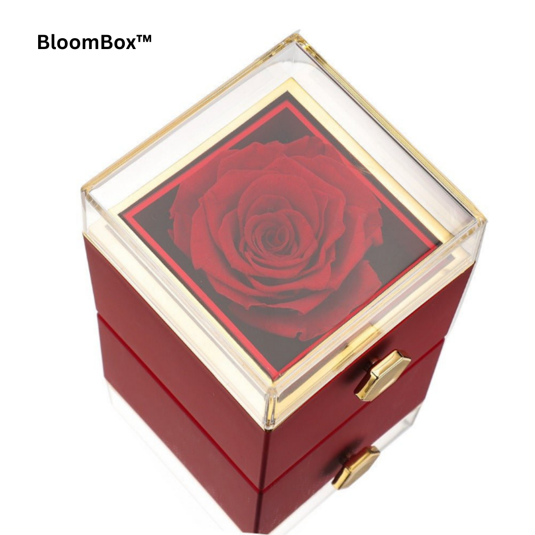 Norvo | BloomBox™ Elegant Rose Keepsake (Boks Kun)