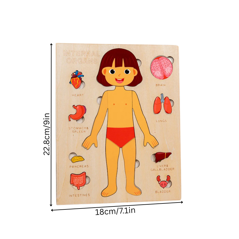 Norvo | BodySmart
