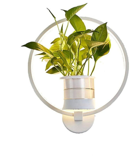 Norvo | Botanisk Vegglampe - vegglampe med plante for stilfull belysning