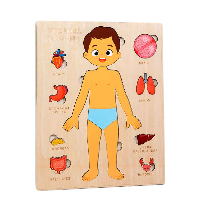 Norvo | BodySmart