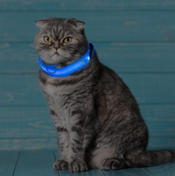 Norvo | Lysende Hundehalsbånd - Blinkende Hundehalsbånd