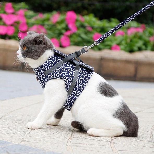 Kragejakke og bånd for katt | Norvo
