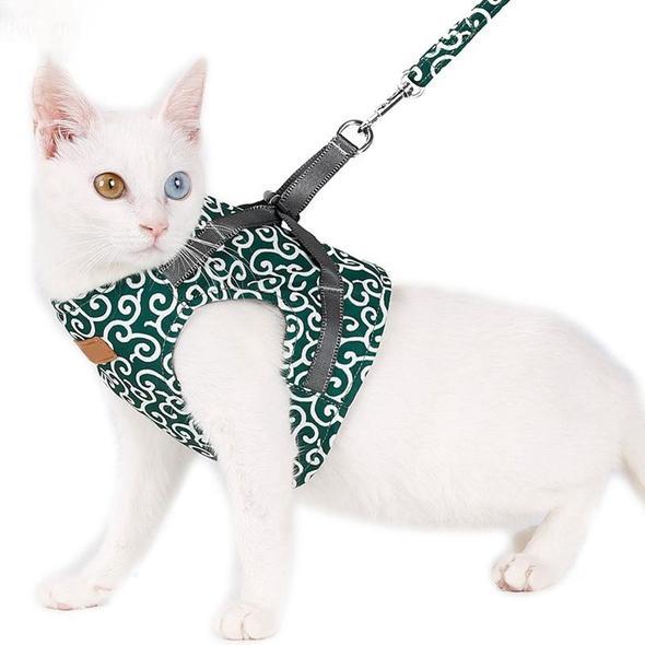 Kragejakke og bånd for katt | Norvo