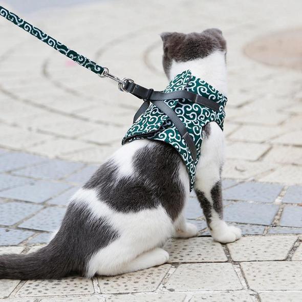 Kragejakke og bånd for katt | Norvo