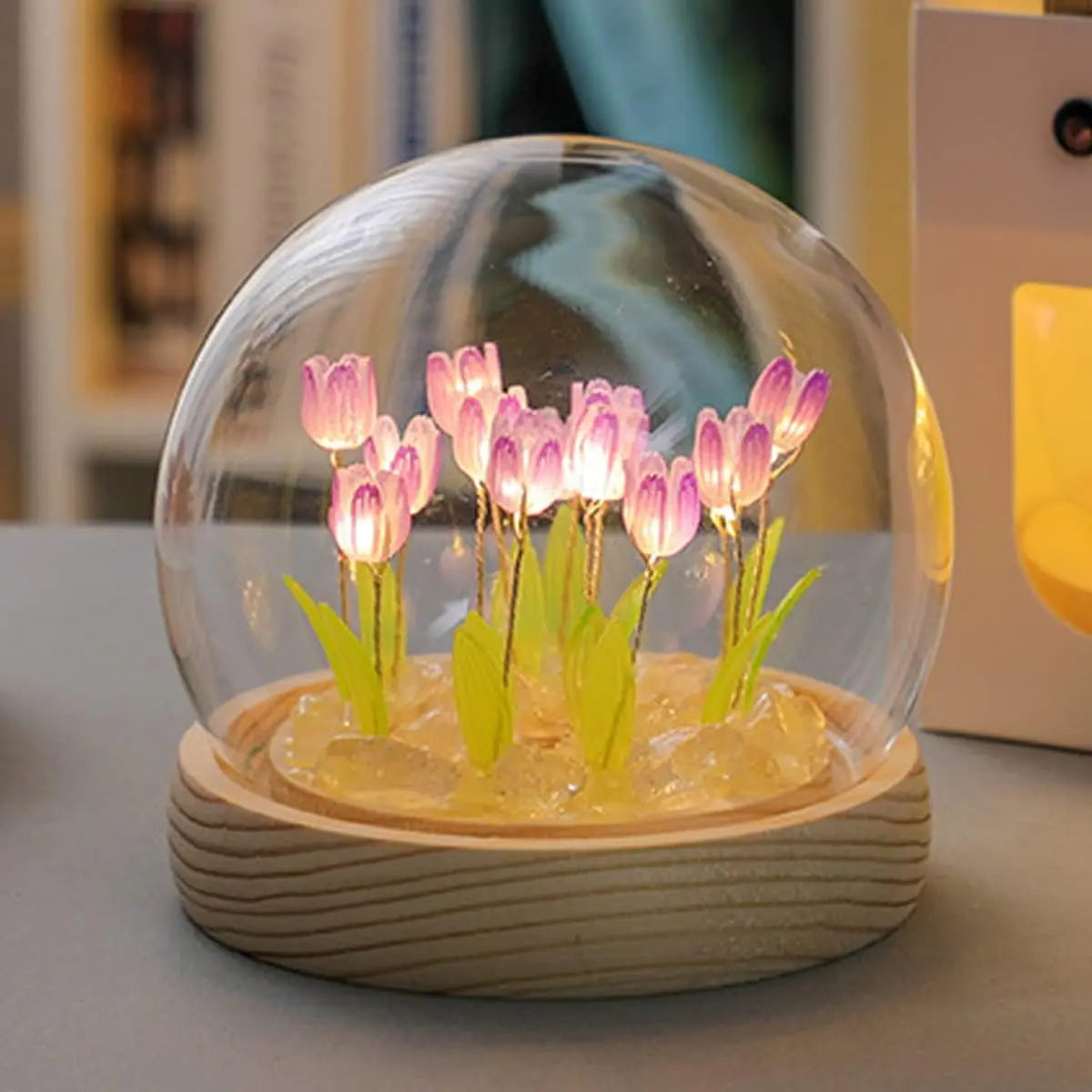 Norvo | DIY Glass Tulip Globe Lamp