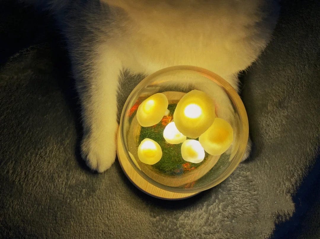 Norvo | Hjemmekultivering med et snev av magi