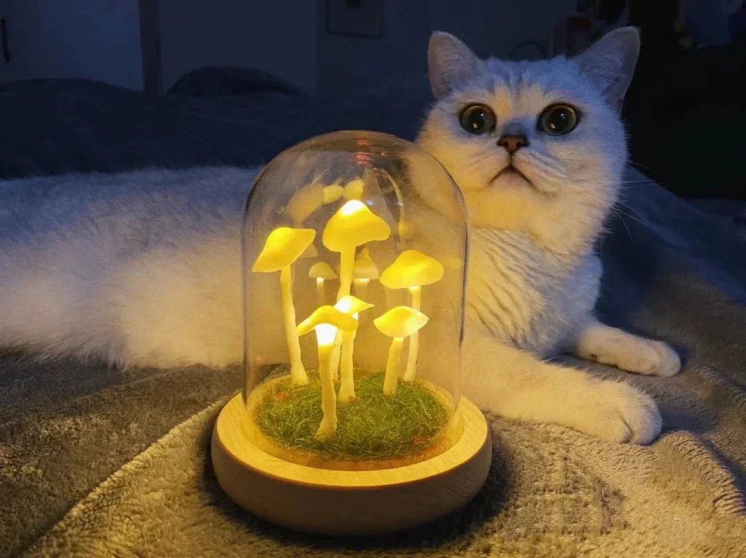 Norvo | MycoJar - Lag dine egne sopper - Naturlig glass DIY - Vekk din kreativitet