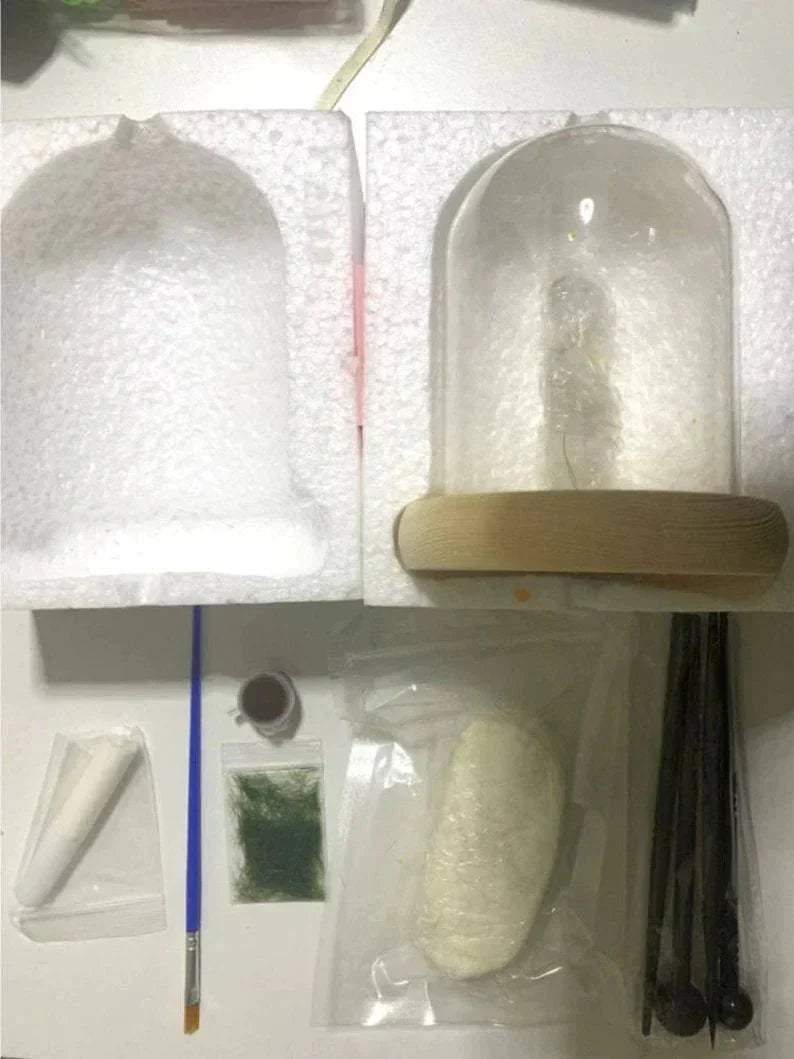 Norvo | MycoJar - Lag dine egne sopper - Naturlig glass DIY - Vekk din kreativitet