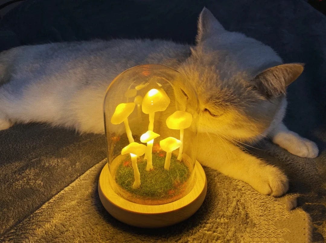 Norvo | Hjemmekultivering med et snev av magi