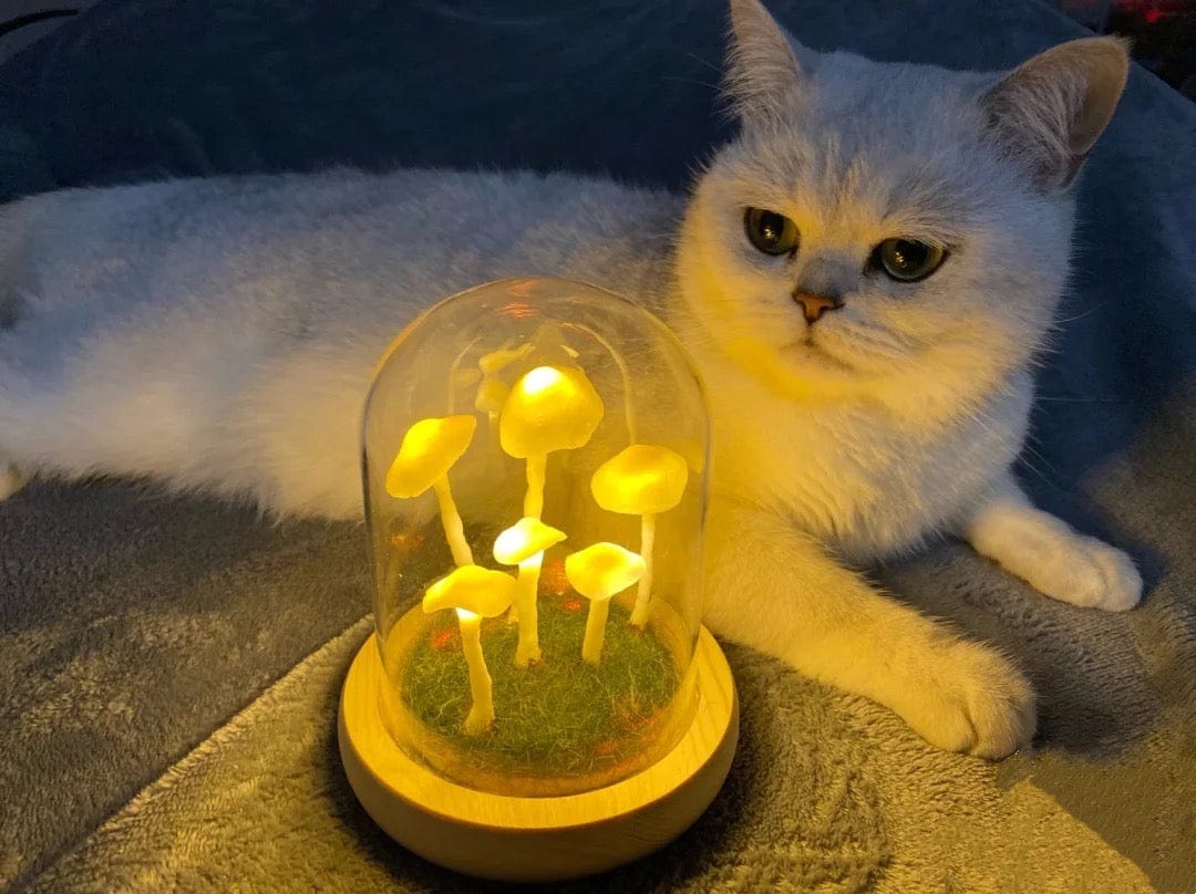 Norvo | MycoJar - Lag dine egne sopper - Naturlig glass DIY - Vekk din kreativitet