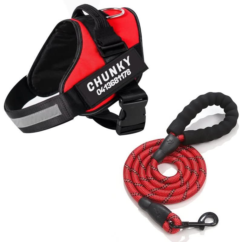 Norvo | DOGSAFE SIKKERHUS – Sikkerhet hundesele med navneskilt og reflekser