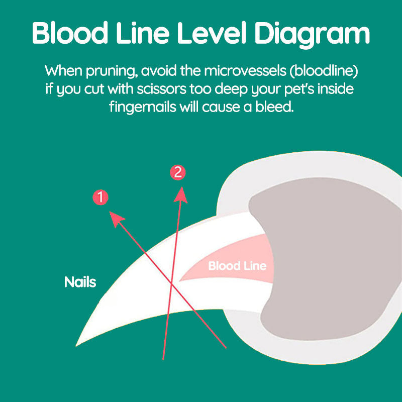 Norvo | Beste hundeklipper med raske sensorer