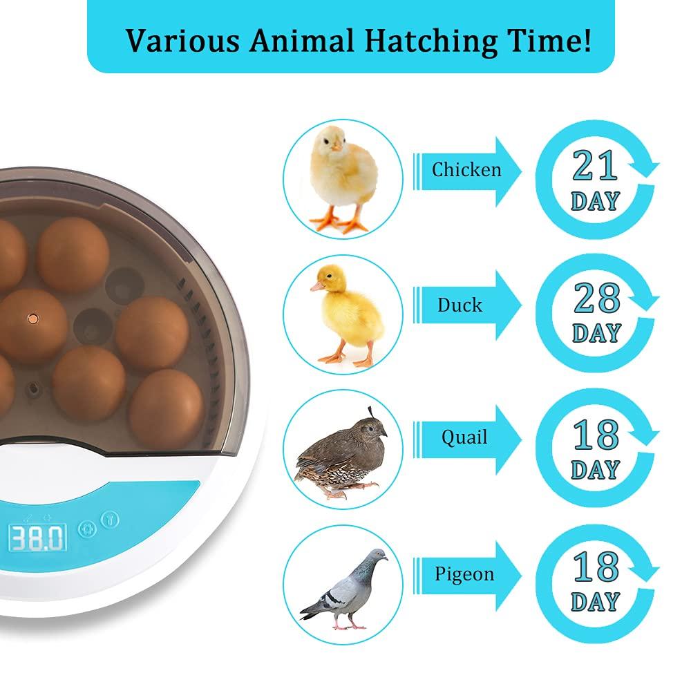 Norvo | Egg Incubator for Chicken Eggs Inkubator for Egg Hatching Chicks with Temp Control LED Chicken Hatcher