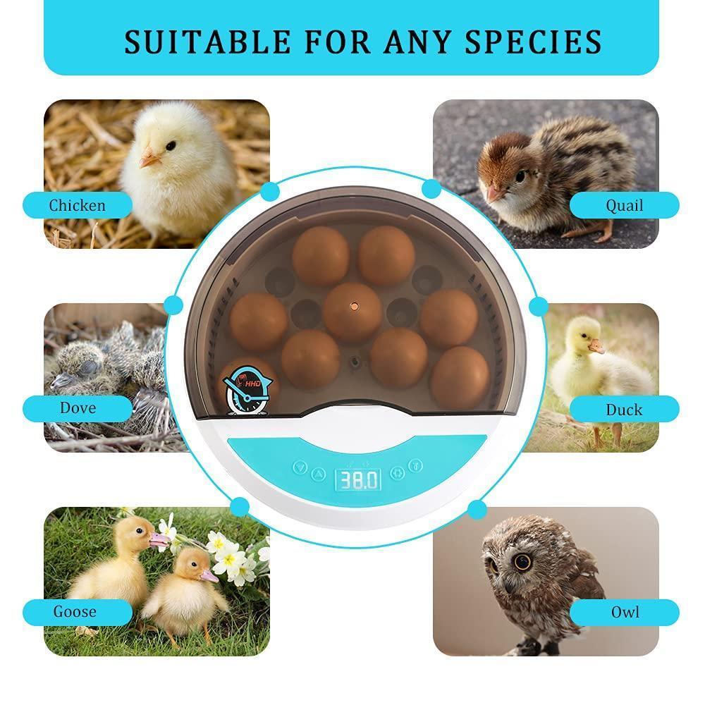 Norvo | Egg Incubator for Chicken Eggs Inkubator for Egg Hatching Chicks with Temp Control LED Chicken Hatcher