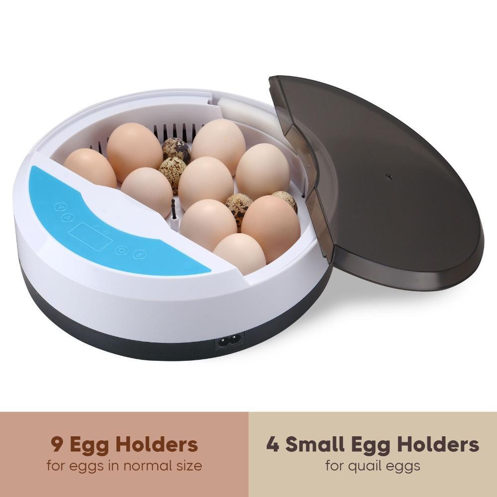 Norvo | Egg Incubator for Chicken Eggs Inkubator for Egg Hatching Chicks with Temp Control LED Chicken Hatcher