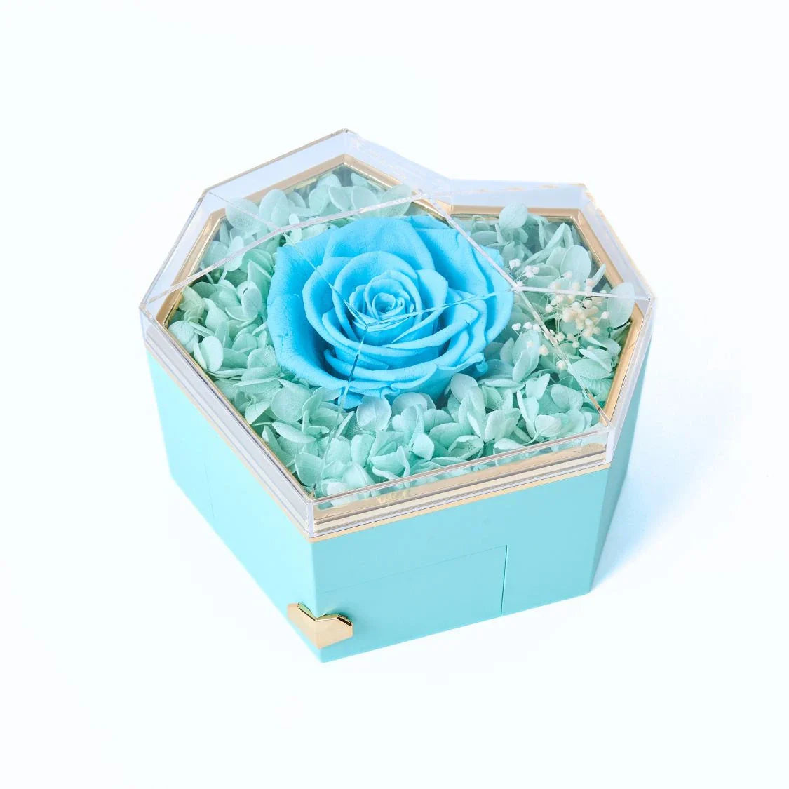 Norvo | CherishedHeart™ Uendelige Hjerte Skatter