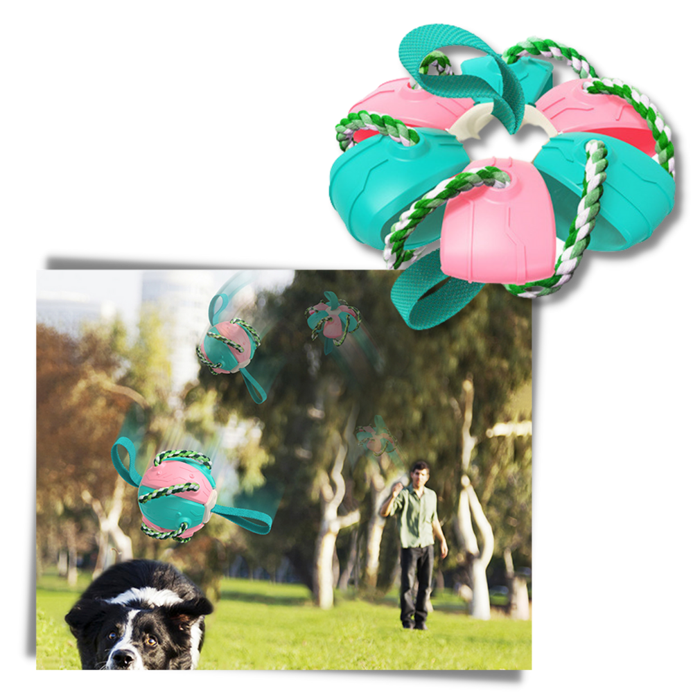 Frisbeeball hundeleke