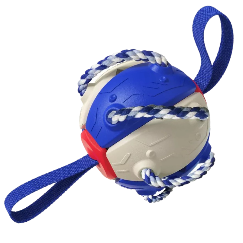 Frisbeeball hundeleke