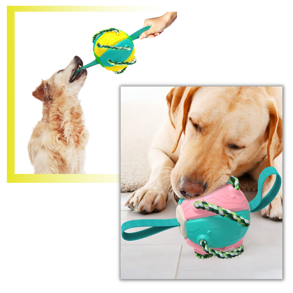 Frisbeeball hundeleke