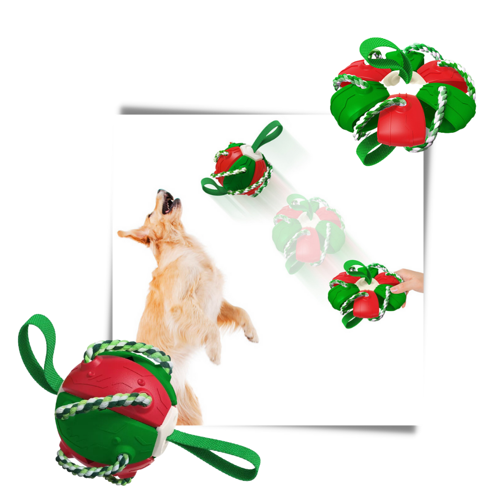 Frisbeeball hundeleke