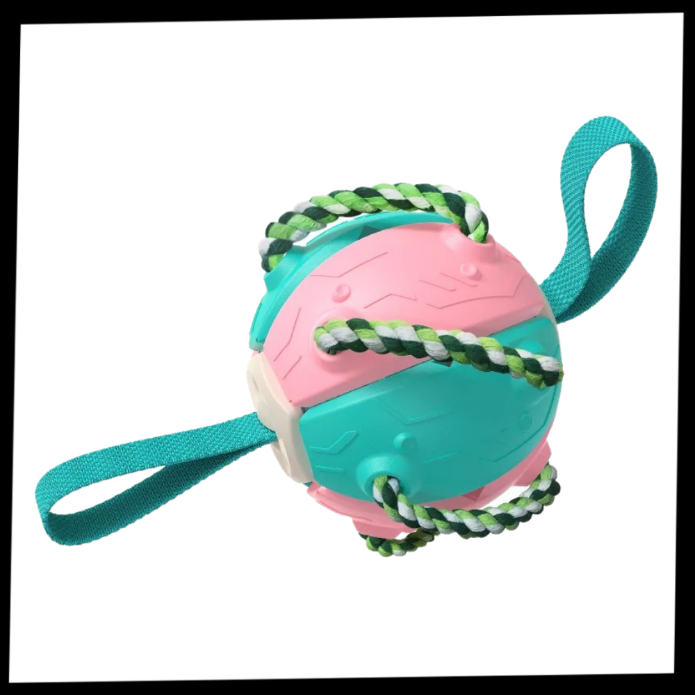 Frisbeeball hundeleke