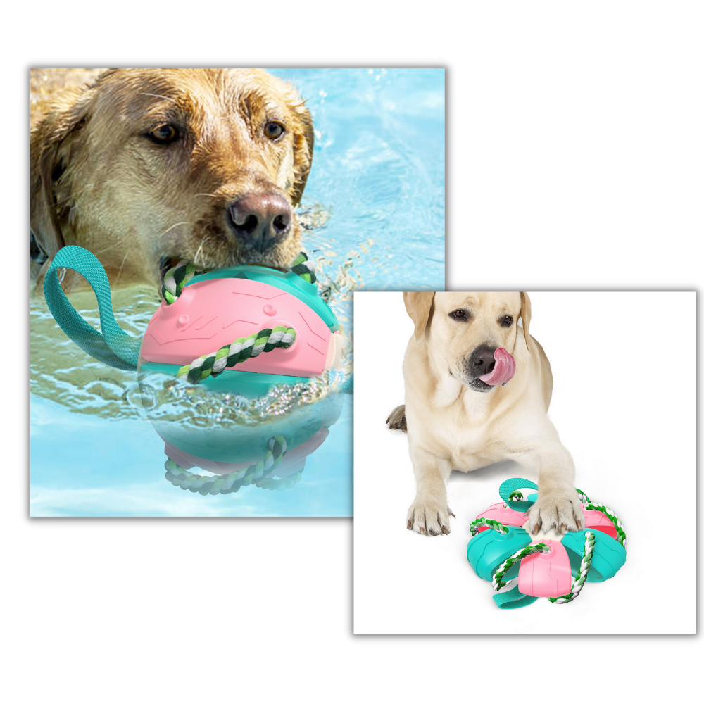 Frisbeeball hundeleke