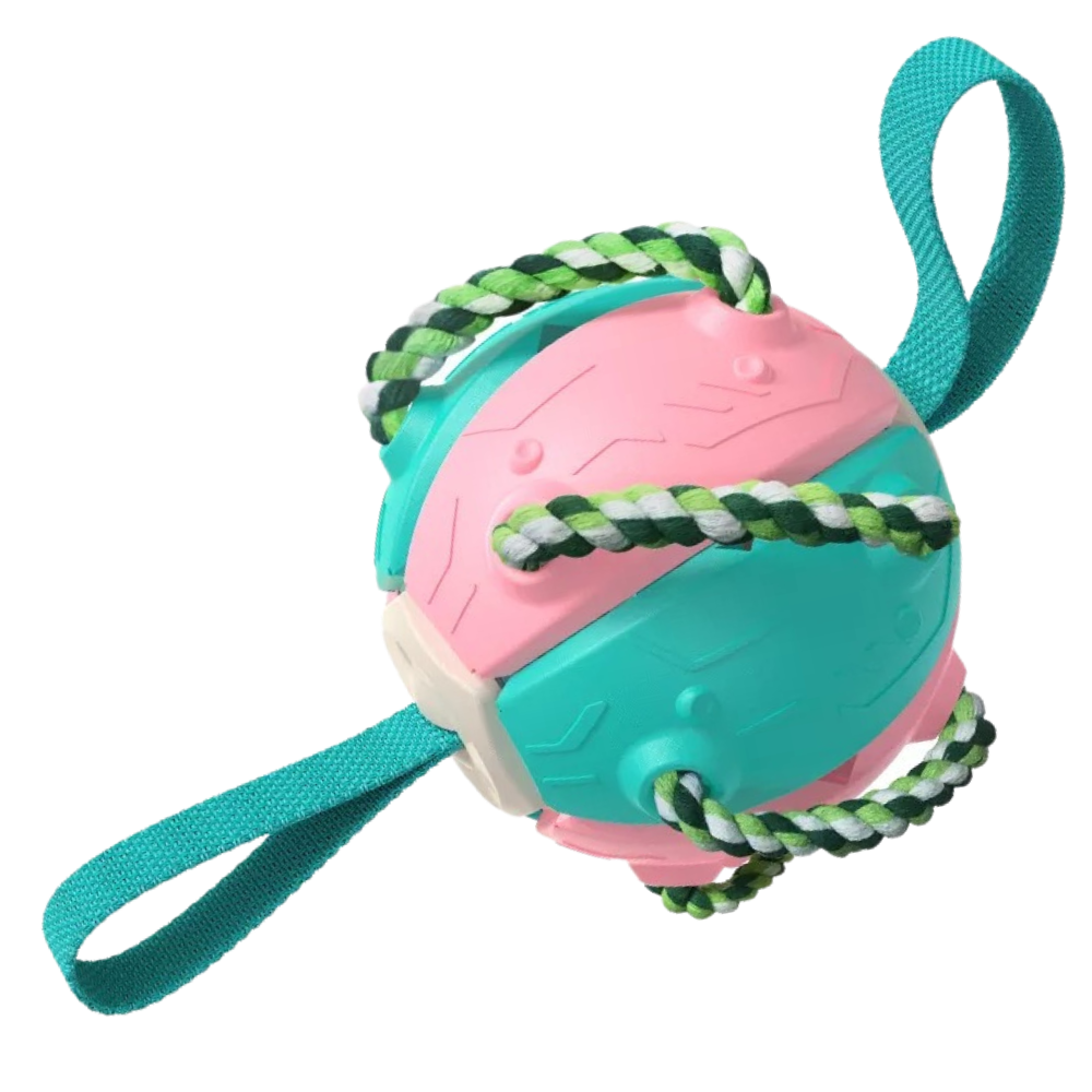 Frisbeeball hundeleke