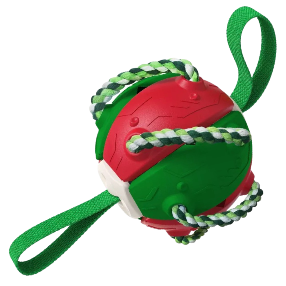 Frisbeeball hundeleke