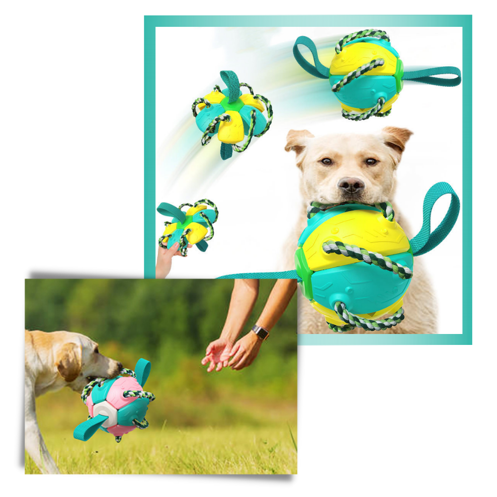 Frisbeeball hundeleke