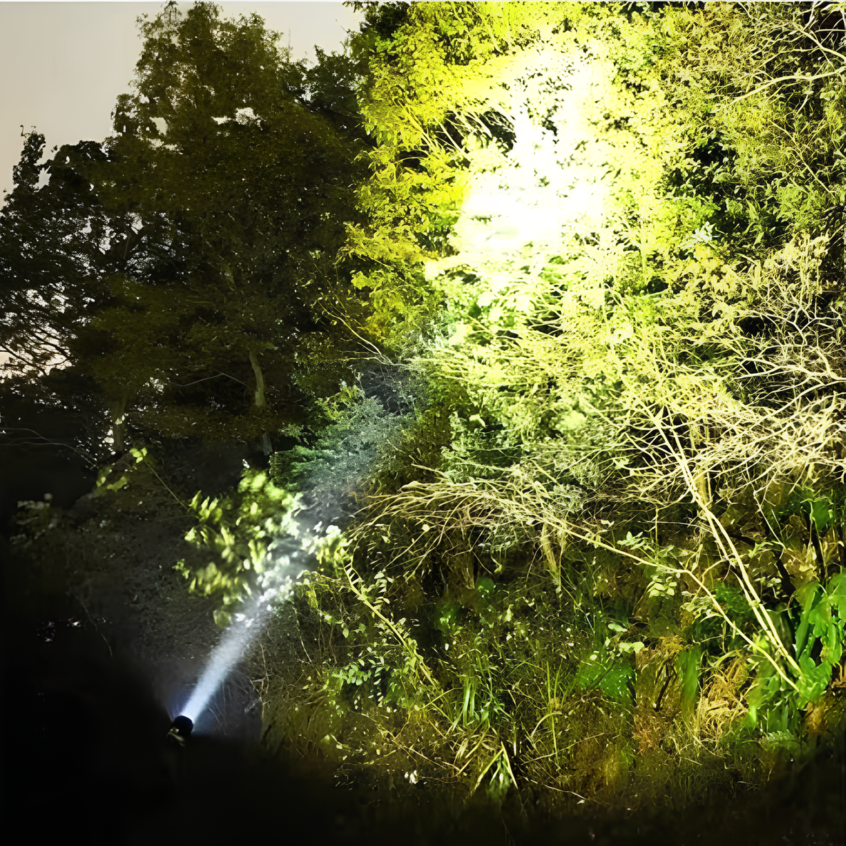 Norvo | Oppladbar LED-lommelykt med lang rekkevidde beam