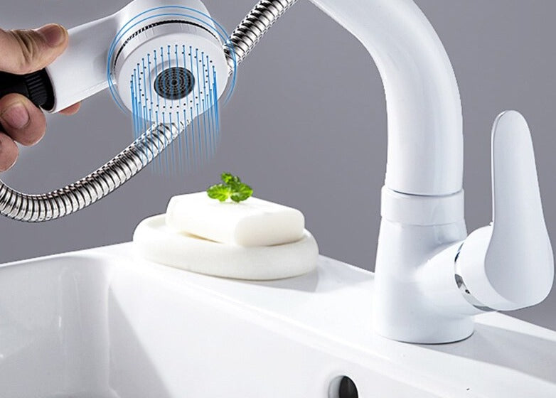 Norvo | FlexiStream Justerbar Badkran Utrekks Elegant Finish