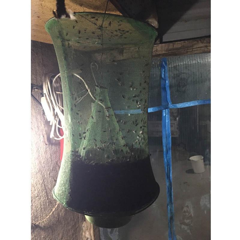 Norvo | Stor Topp Skadedyrkontrollnett