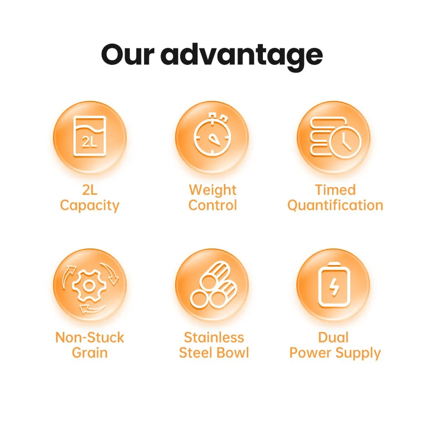 Norvo | Automatisk Hund Tidsbestemt Matdispenser