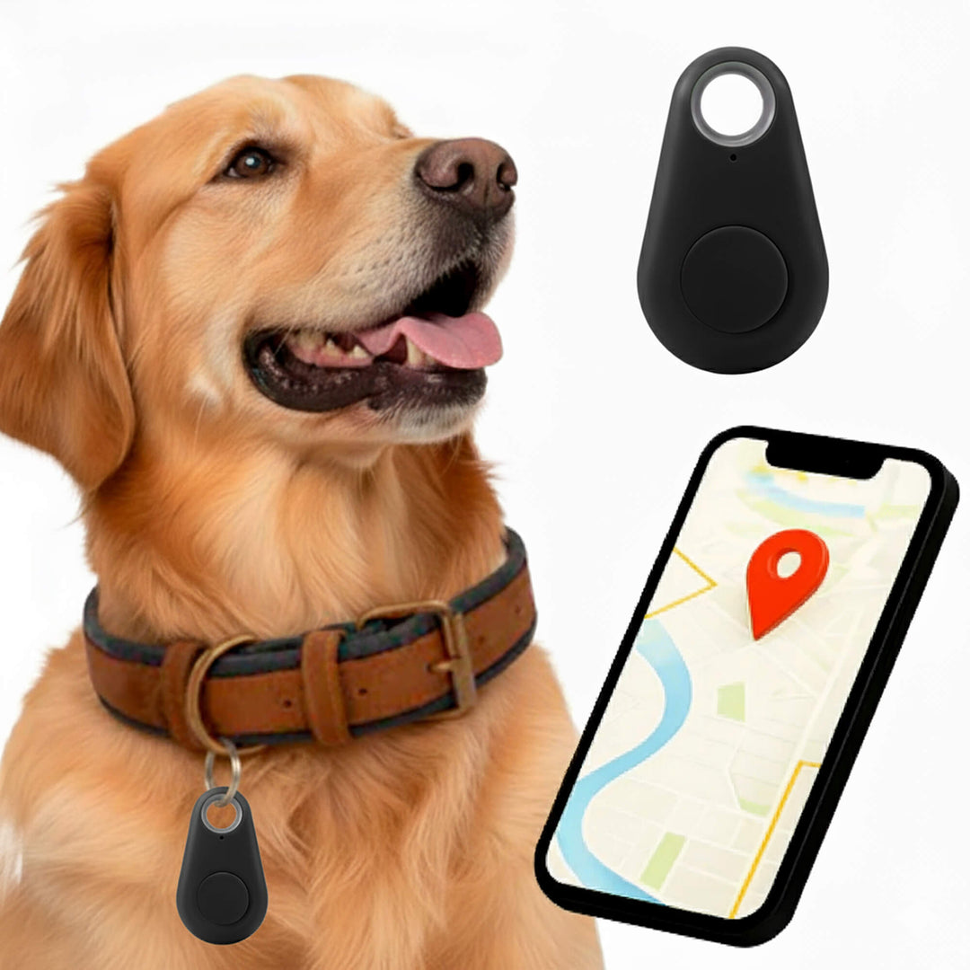 Norvo | GPS Hundesporing | Vanntett, Sanntid Plassering & Sikkerhetssone Varsler for Utendørs Eventyr